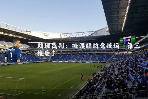 助理裁判：被误解的竞技场「第三维度」